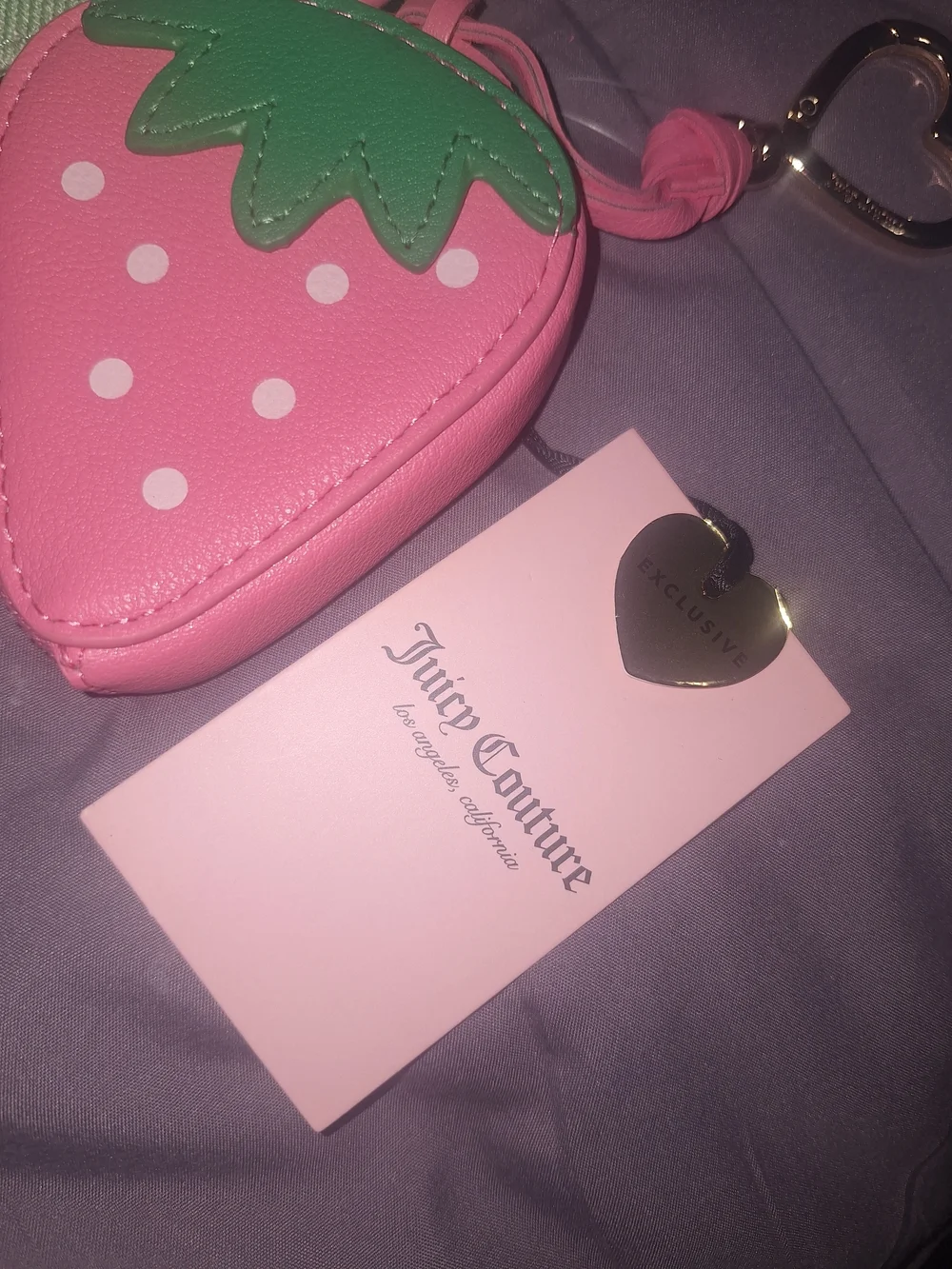 Juicy Couture Mint & Pink Stripe Card Holder with Strawberry Coin Pouch